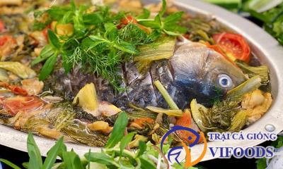 Cách làm cá chép nấu dưa