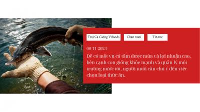 Tầm quan trọng của thức ăn chất lượng cao trong nuôi cá tầm