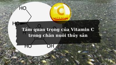 Vai trò của Vitamin C  trong chăn nuôi thủy sản