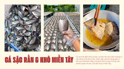 Vì sao cá sặc rằn thường được chọn làm khô hơn nhiều loại cá nước ngọt khác?