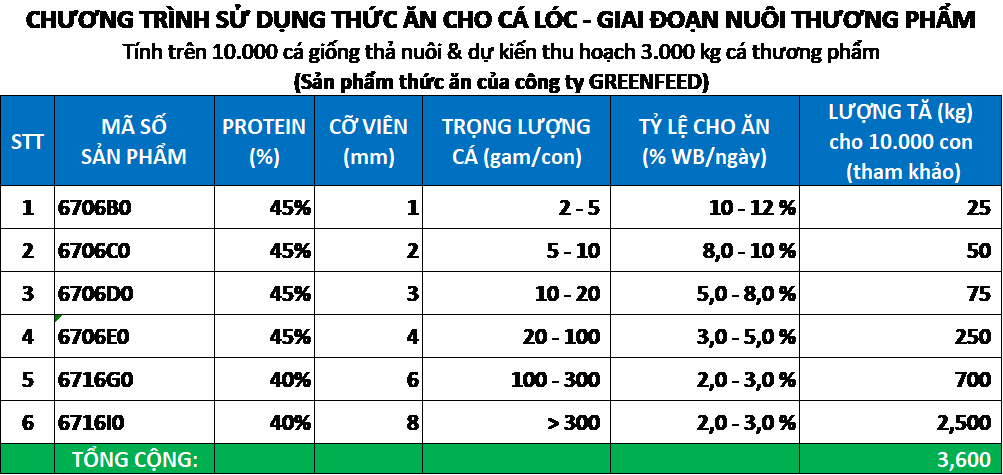 Chương trình sử dụng thức ăn cho cá lóc - Giai đoạn nuôi thương phẩm